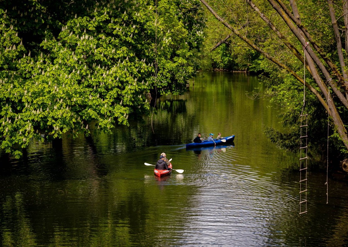 Braunschweig Oker Ufer.jpg