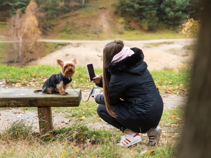 frau hund gassi harz