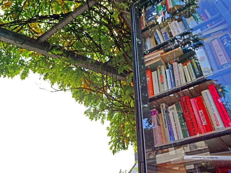 Braunschweig Bücherschrank.jpg