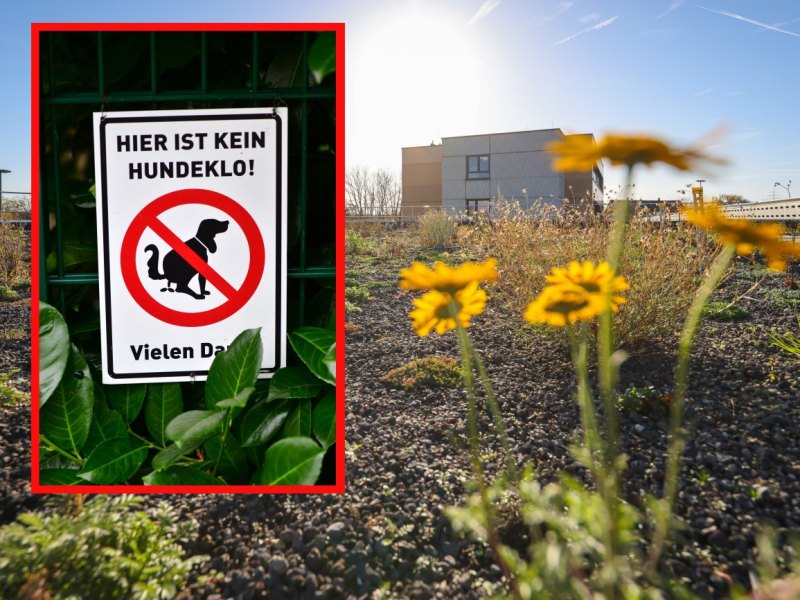 Kein Pixel Wolfenbüttel.jpg