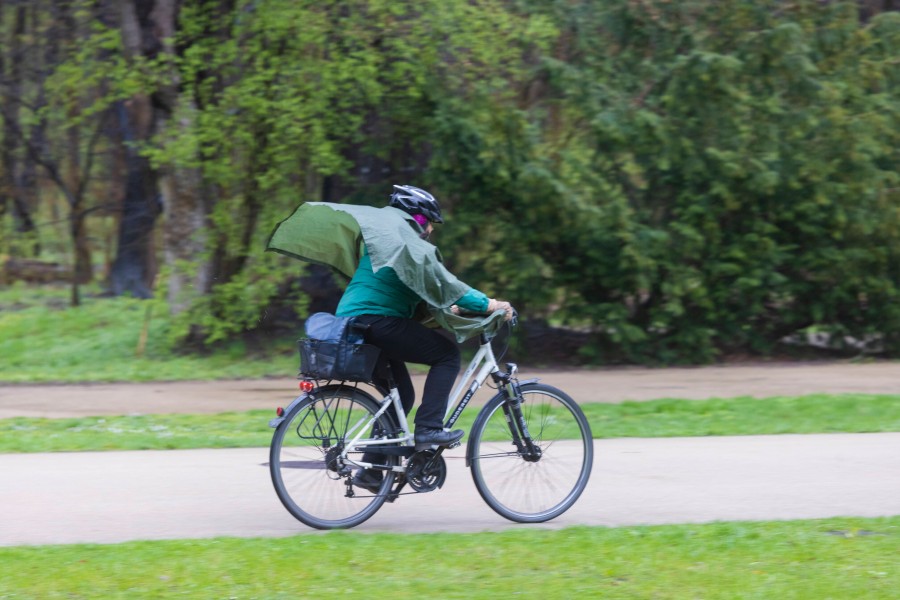 Einem Mann in Braunschweig ist in einem Park etwas ziemlich Ärgerliches aufgefallen. (Symbolbild)