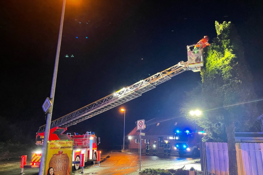 Die Feuerwehr Flechtorf musste einen Baum abrasieren. 