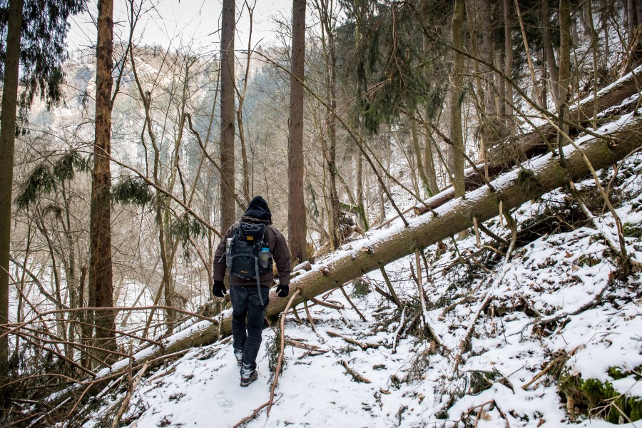 Ein Mann hat bei einer Wanderung im Harz etwas festgestellt – und bedauert es. (Archivbild)