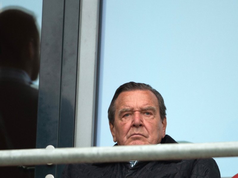 Hannover 96  Rauswurf  Gerhard Schröder