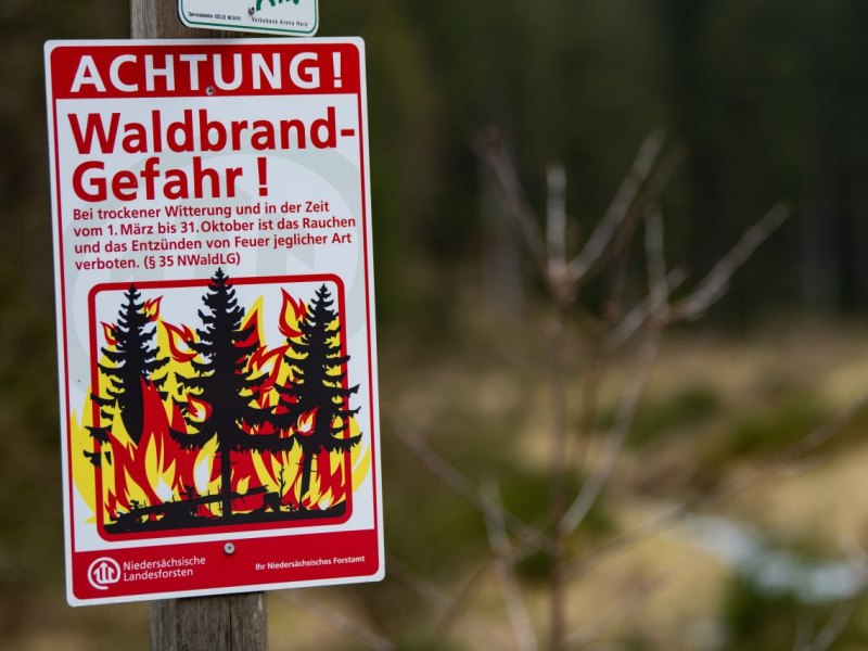 Harz.jpg