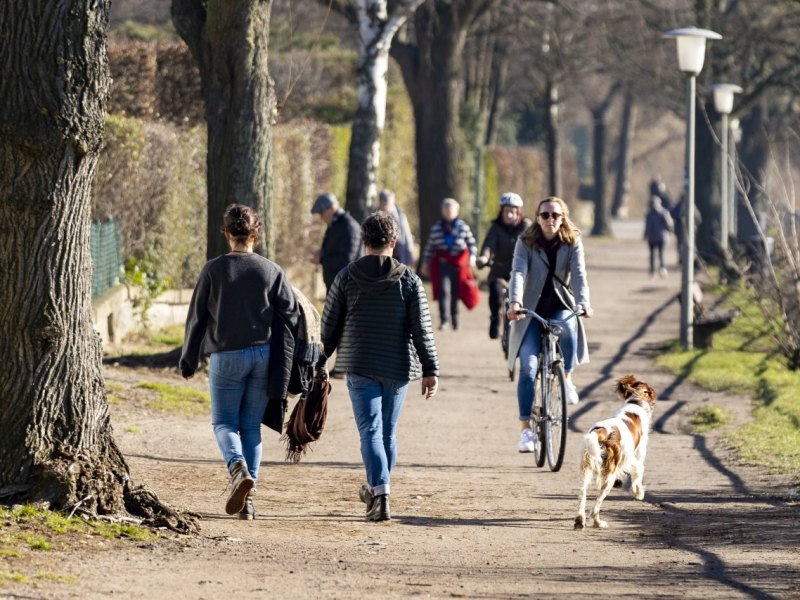 Spaziergänger Hund Wolfenbüttel