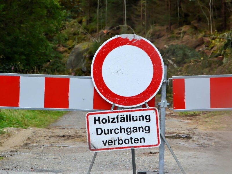 harz (2).jpg