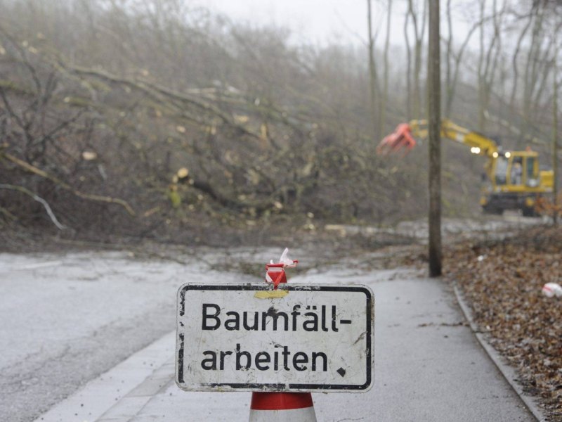 harz bad harzburg b4