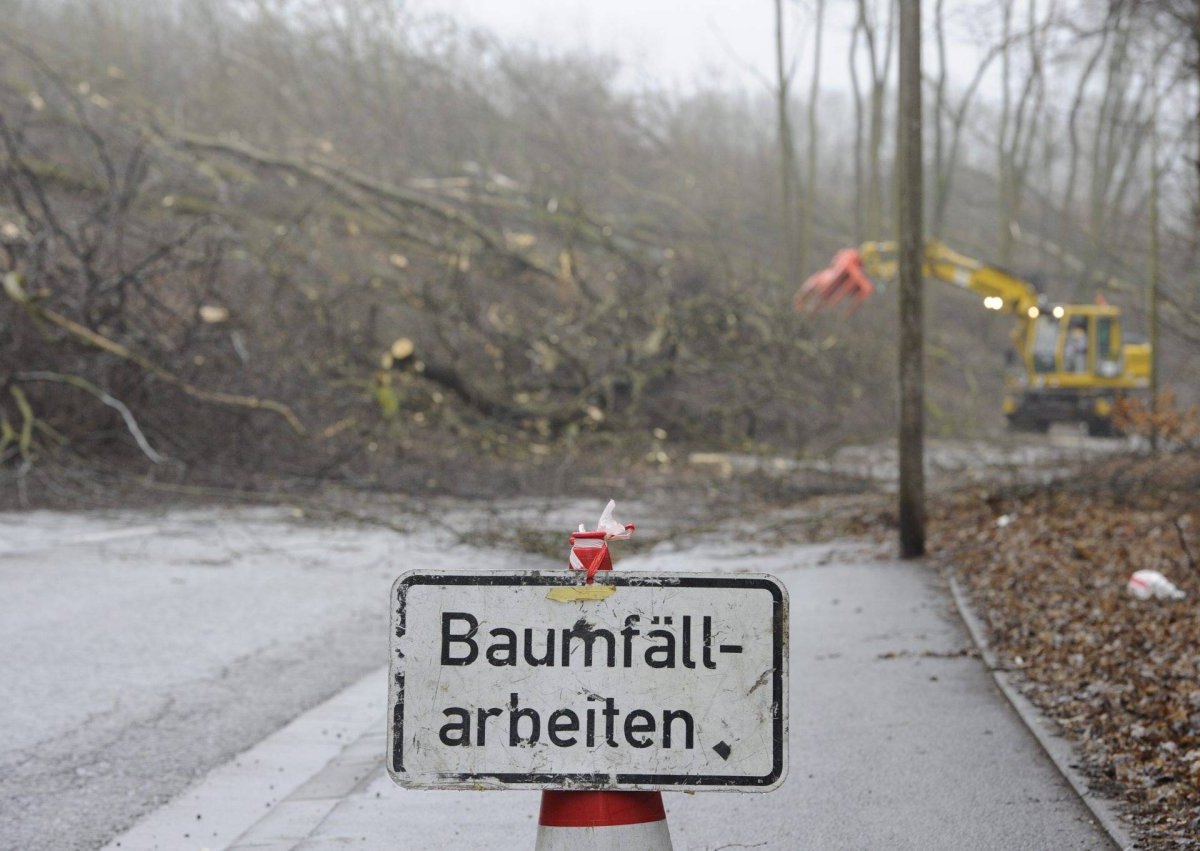 harz bad harzburg b4