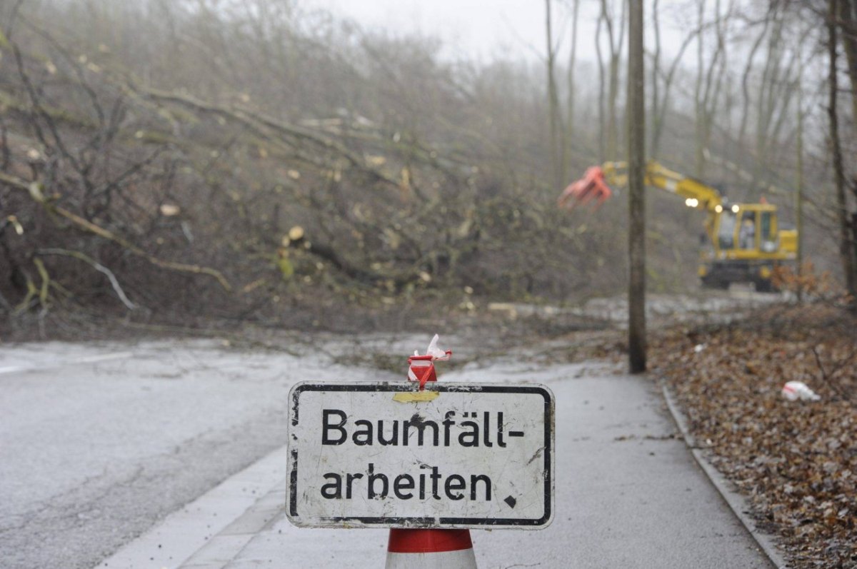 harz bad harzburg b4