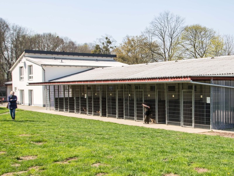 Das Tierheim Salzgitter hat zwei ganz besondere Spen