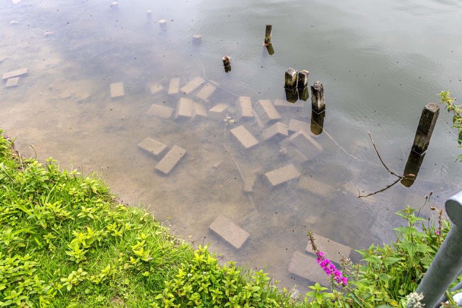 Inge Pelzer vermutet, dass Unbekannte die Steine immer wieder in den Teich werfen. 