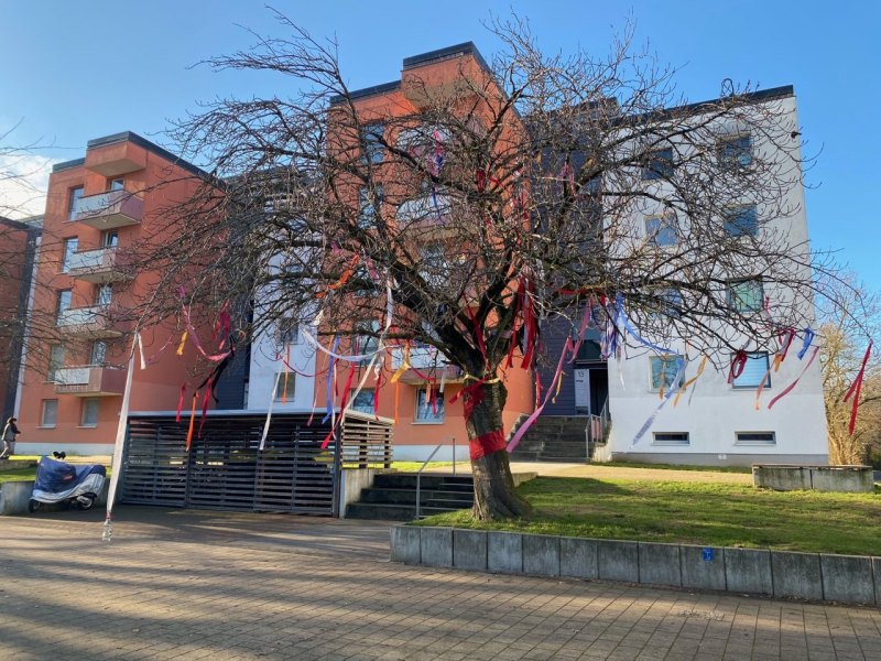 Baum Salzgitter wunschbaum Fredenberg awista tag