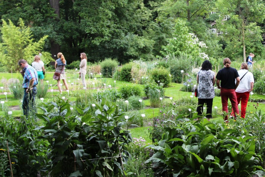 Auch der Botanische Garten hat wieder geöffnet. (Archivbild)