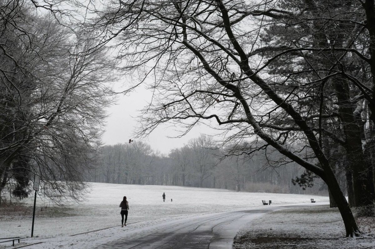 Braunschweig Prinzenpark Winter Schnee