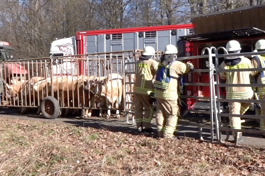 Ein etwas anderer Einsatz für die Feuerwehr Grasleben...