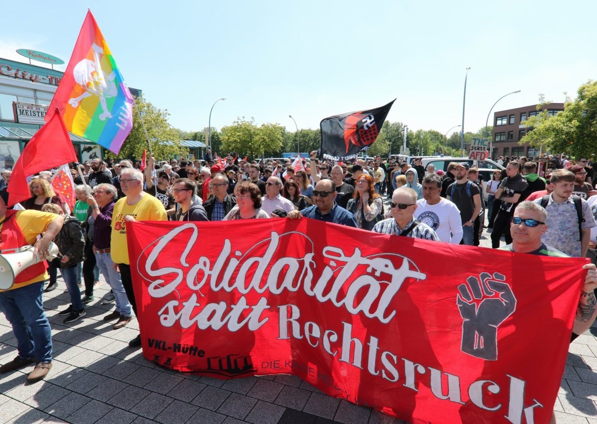 Demo-Salzgitter.JPG