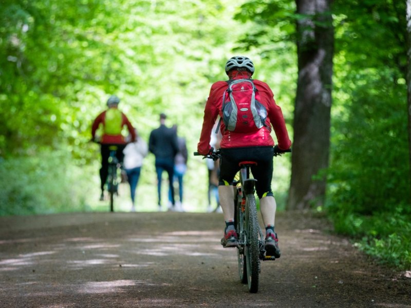Fahrradfahrer Spaziergänger Wald Riddagshausen