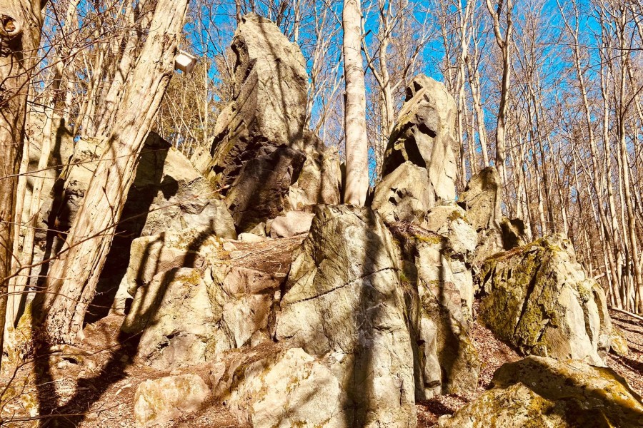 In einer mystischen Atmosphäre kannst du der Legende des Schwerts Excalibur im Harz nachgehen. 