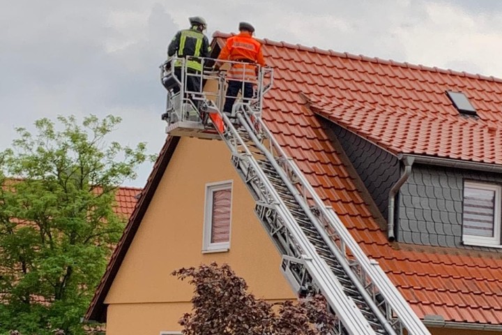 Die Feuerwehr Gifhorn musste wegen eines Mauerseglers in Not anrücken.