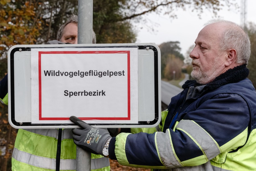 Ein Sperrbezirk mit einem Radius von drei Kilometern wurde eingerichtet. (Symbolbild)