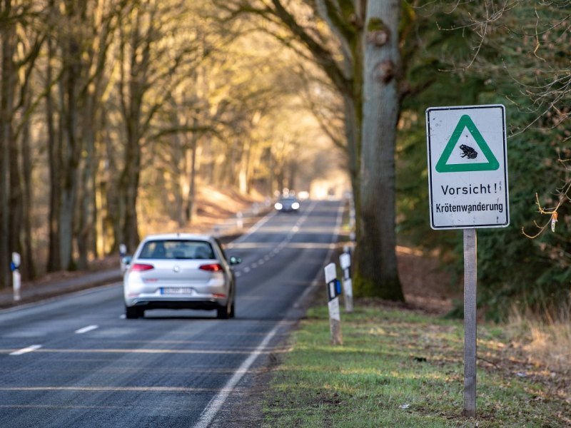 Gifhorn