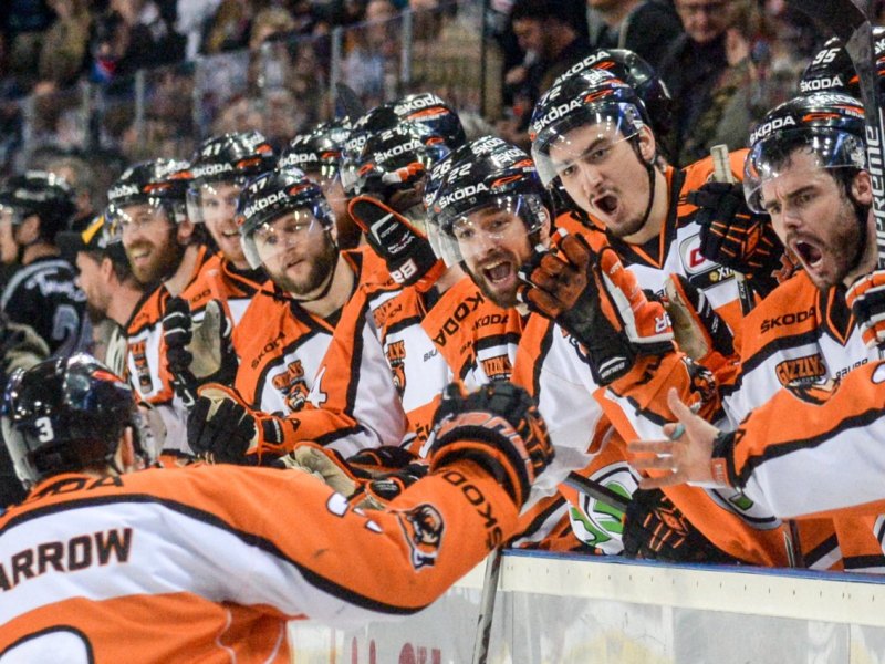 Grizzlys WOlfbsurg