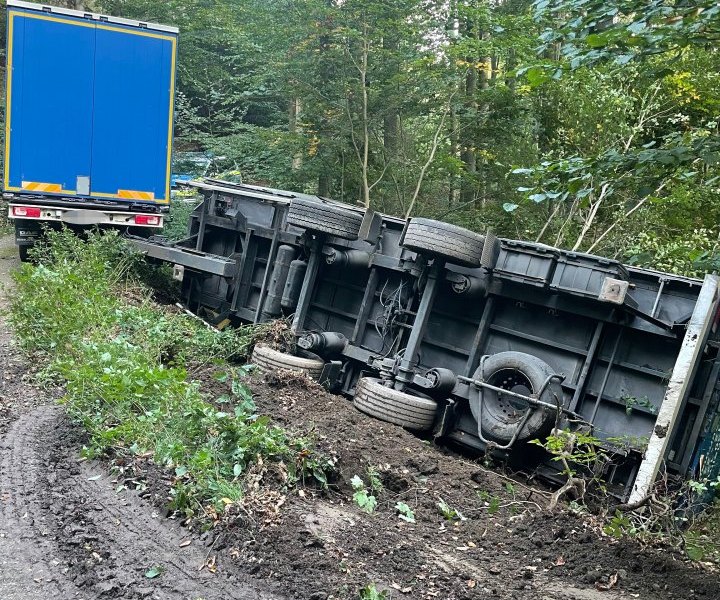 Harz.jpg