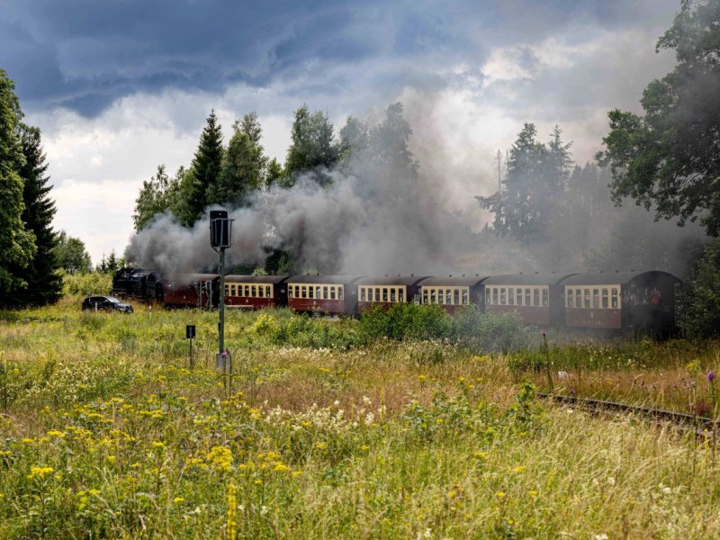 Harz