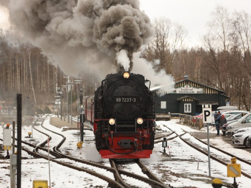 Harz.jpg