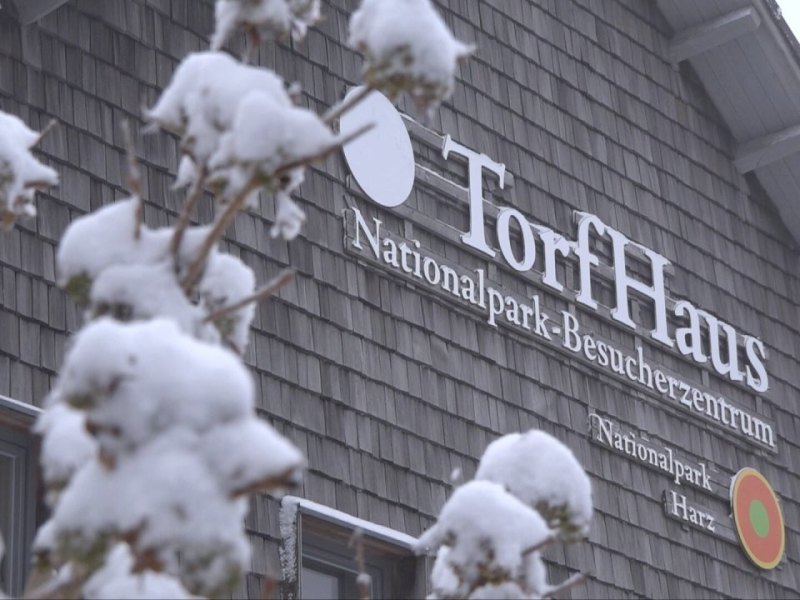 Harz Torfhaus