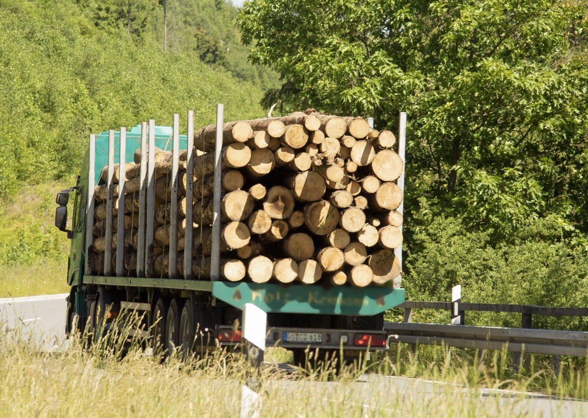 Holztransport