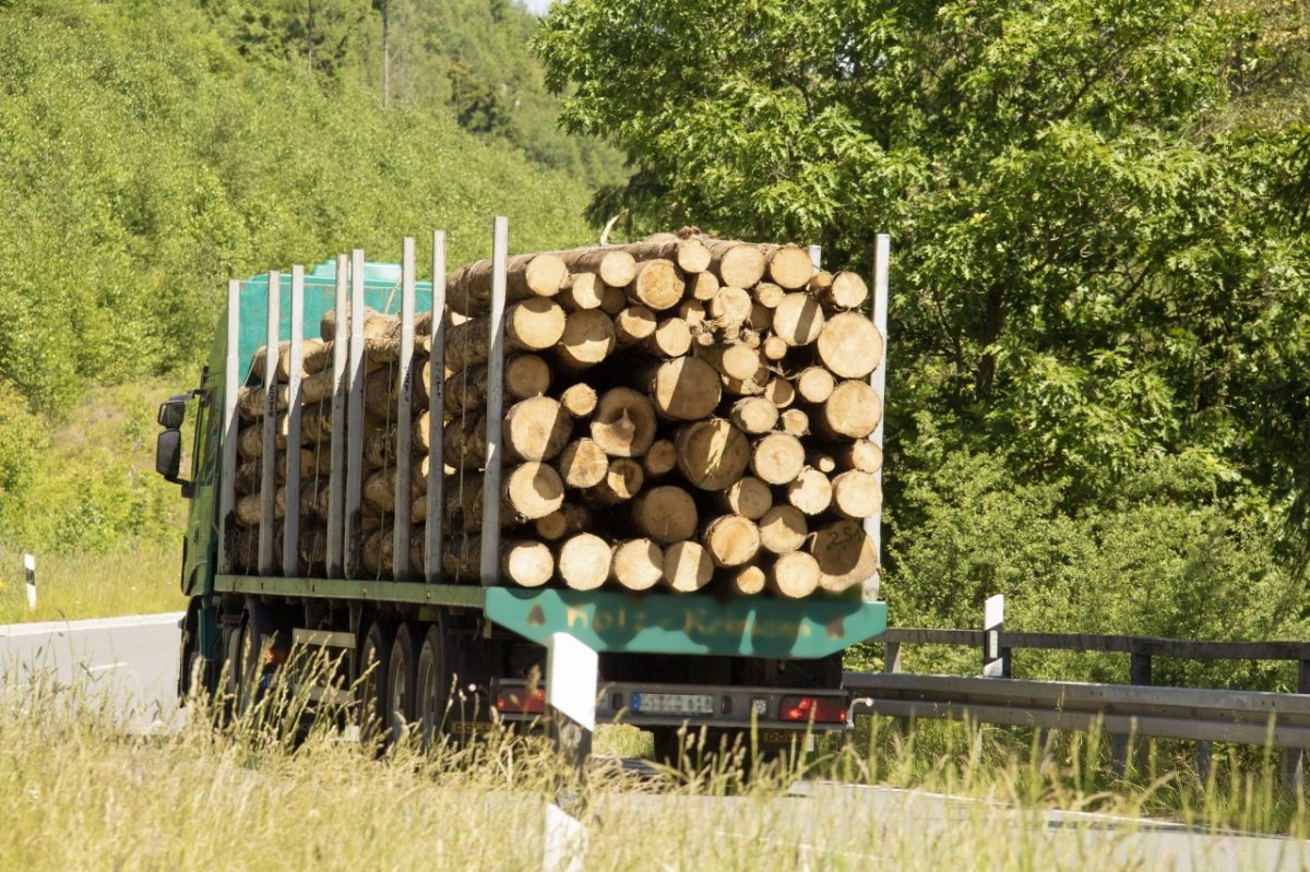 Holztransport