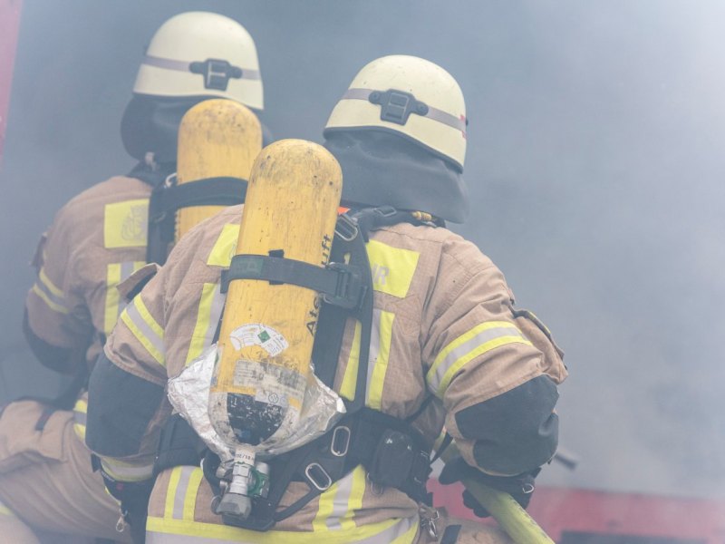 Hund_Feuerwehr_imago images  Seeliger.jpg