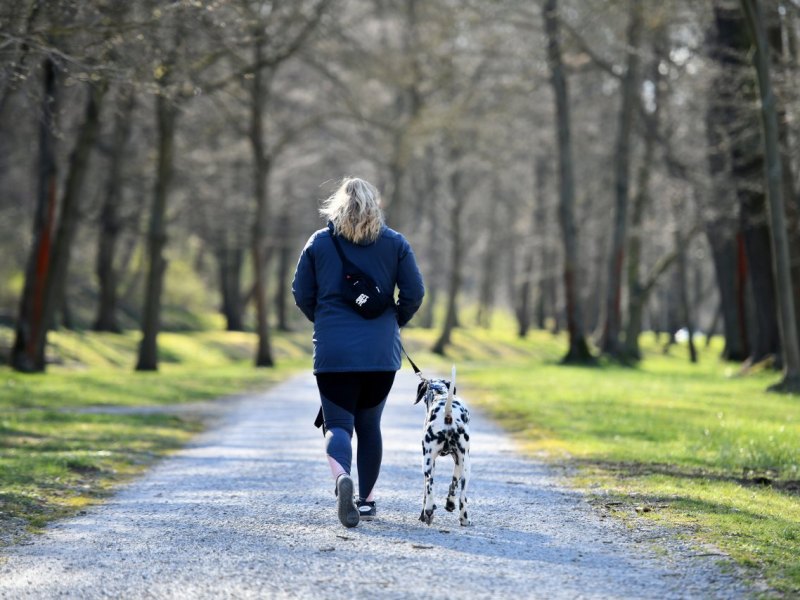 Hund spazieren Giftköder.jpg