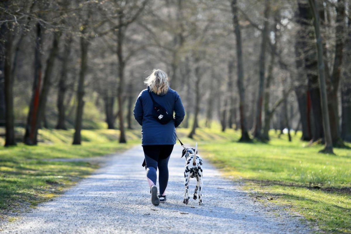 Hund spazieren Giftköder.jpg