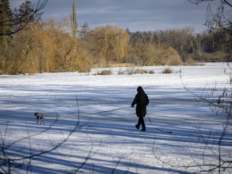 HundGifhorn.jpg