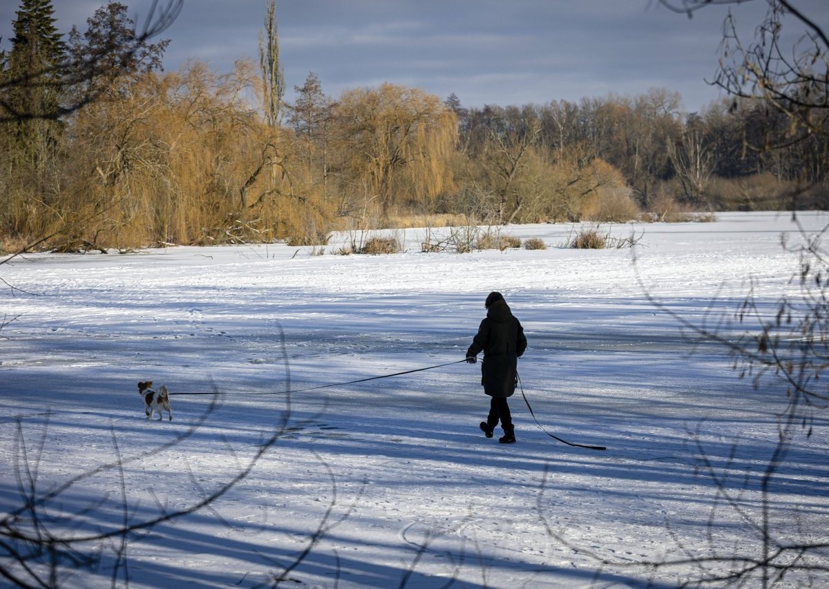 HundGifhorn.jpg