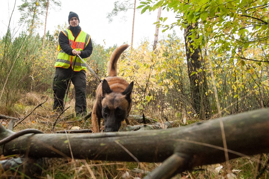 Auch Spürhunde suchten nach dem vermissten. (Symbolbild)