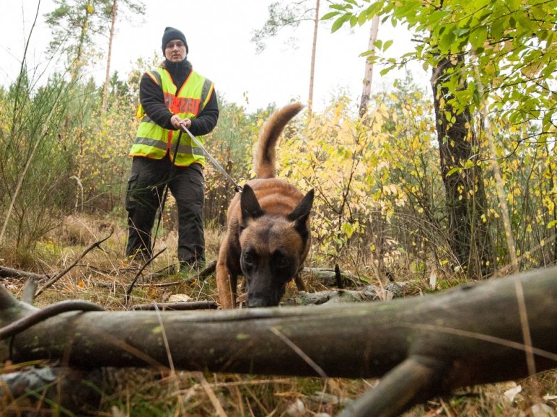 Karsten Manczak Liebenburg Harz Spürhunde Mantrailer Wald
