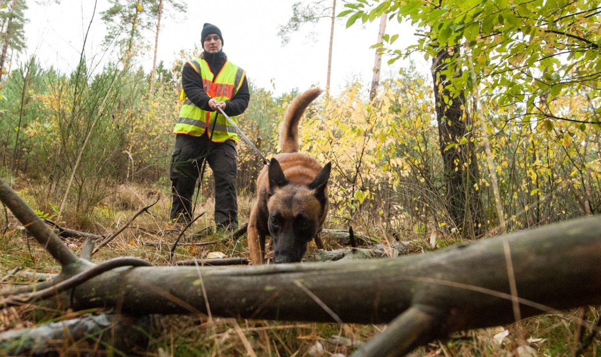 Karsten Manczak Liebenburg Harz Spürhunde Mantrailer Wald