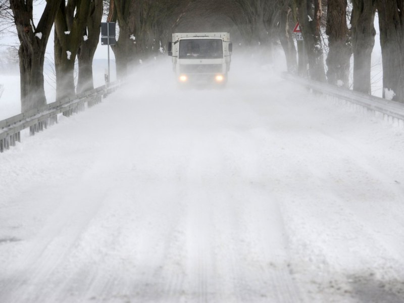 LKW Landstraße Schnee Bäume Allee