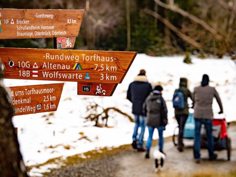 Märchenweg Torfhaus.jpg