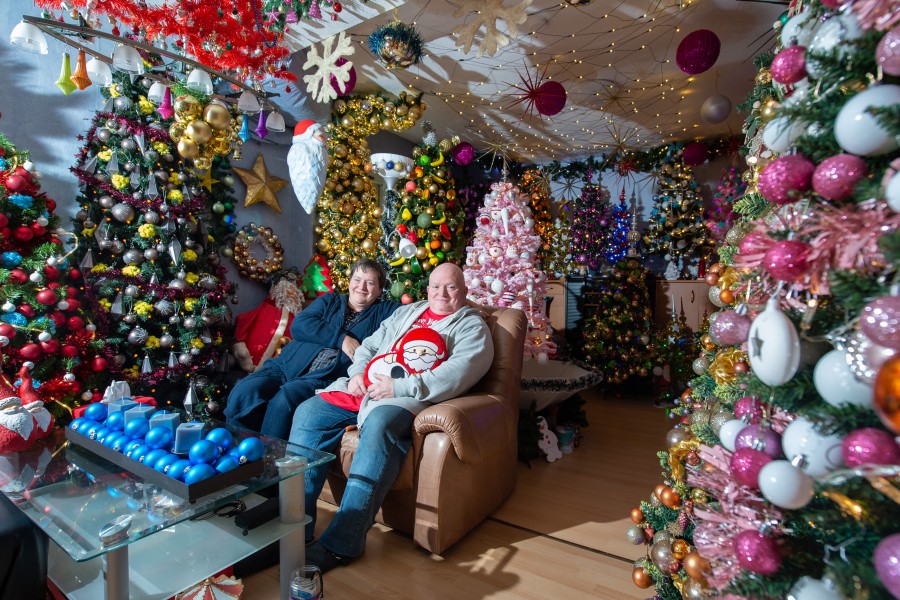 Susanne und Thomas Jeromin sitzen inmitten von Weihnachtsbäumen in ihrem Wohnzimmer.