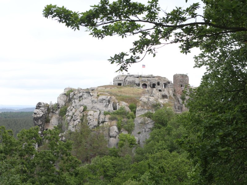 Regenstein Burgruiine Ruine Burg Harz Blankenburg