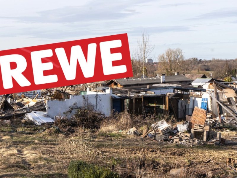 Rewe in Salzgitter