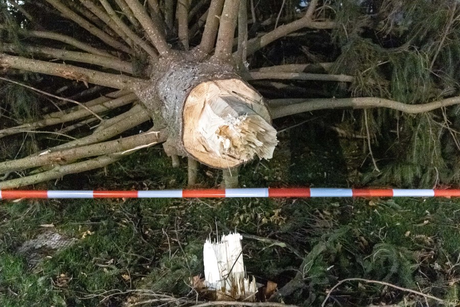 Mutmaßlich hat eine Windböe den Weihnachtsbaum in Salzgitter-Lebenstedt umgehauen. 