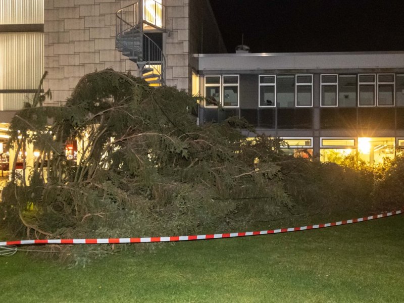 Salzgitter.jpg
