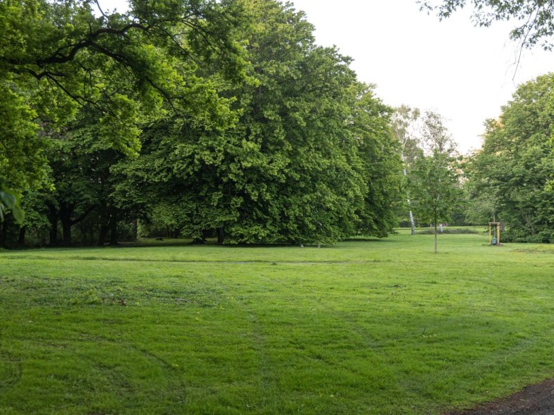 Salzgitter Stadtpark Polizei Niedersachsen Krankenhaus Notruf Verletzung Rettungsdienst