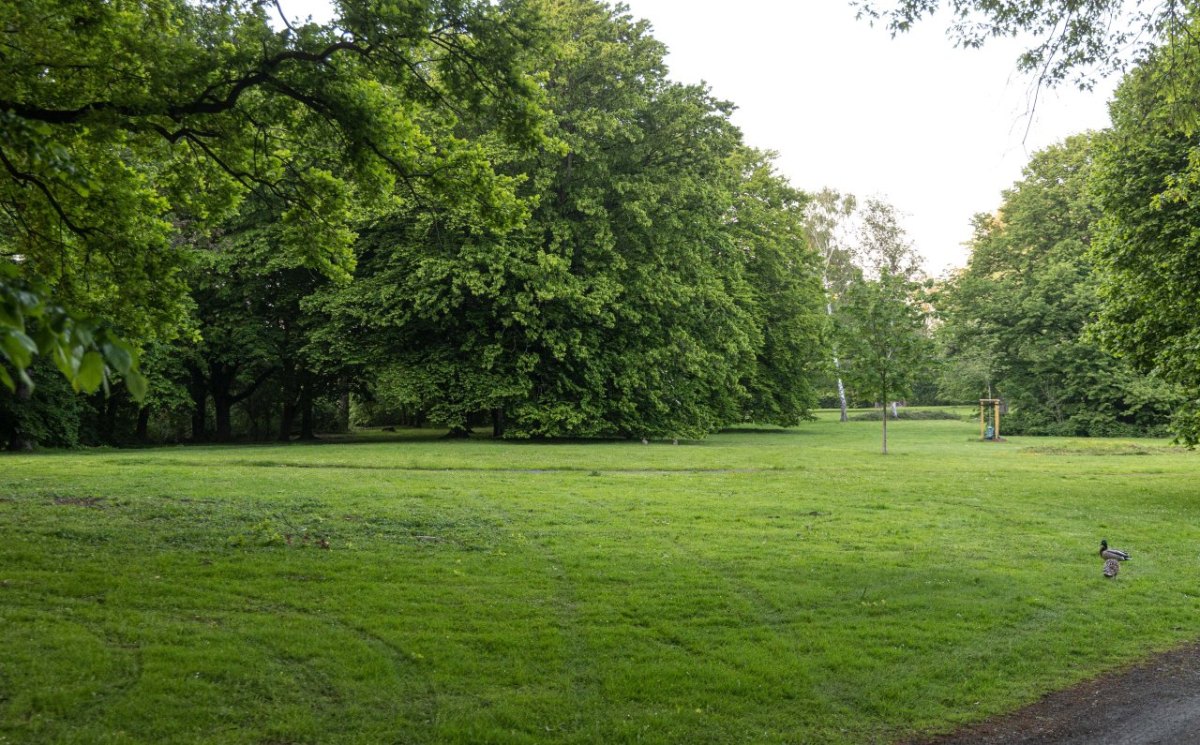 Salzgitter Stadtpark Polizei Niedersachsen Krankenhaus Notruf Verletzung Rettungsdienst